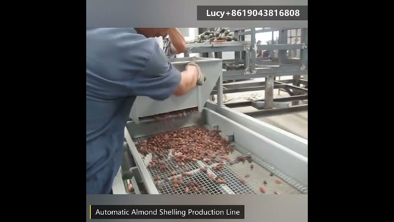 Multi-functional Hazelnut Peeler Machine Almond Processing Huller Machine Almond Cracking Machine