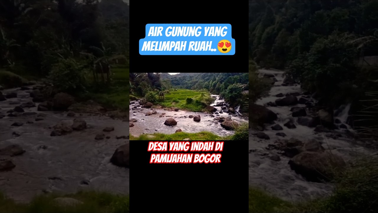 Desa Ciasmara ,ciasihan PAMIJAHAN BOGOR.. desa yang air nya melimpah ruah, gak bakal bisa move on😍