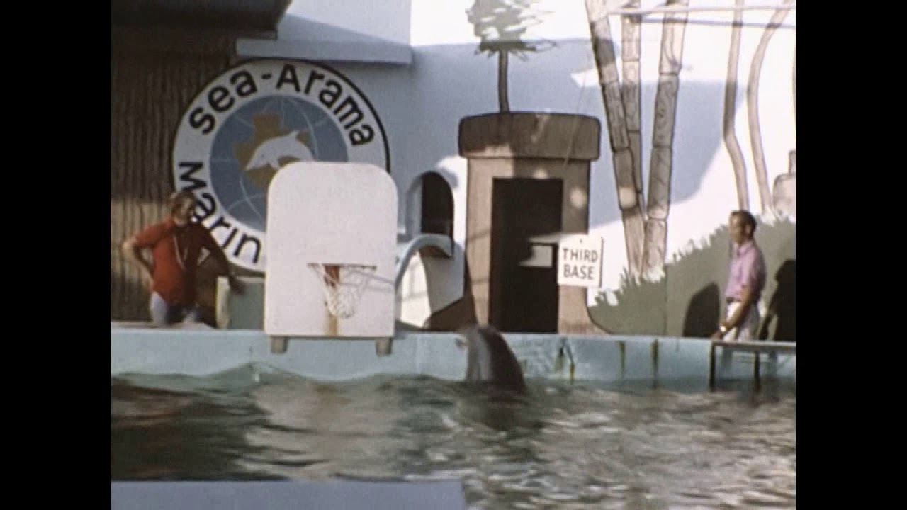 Sea Arama Marineworl in Galveston, Texas - Summer 1970