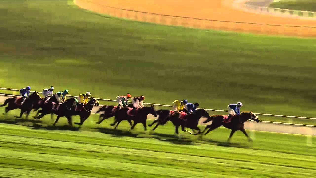 Tryster by Shamardal wins the G1 Jebel Hatta at Meydan
