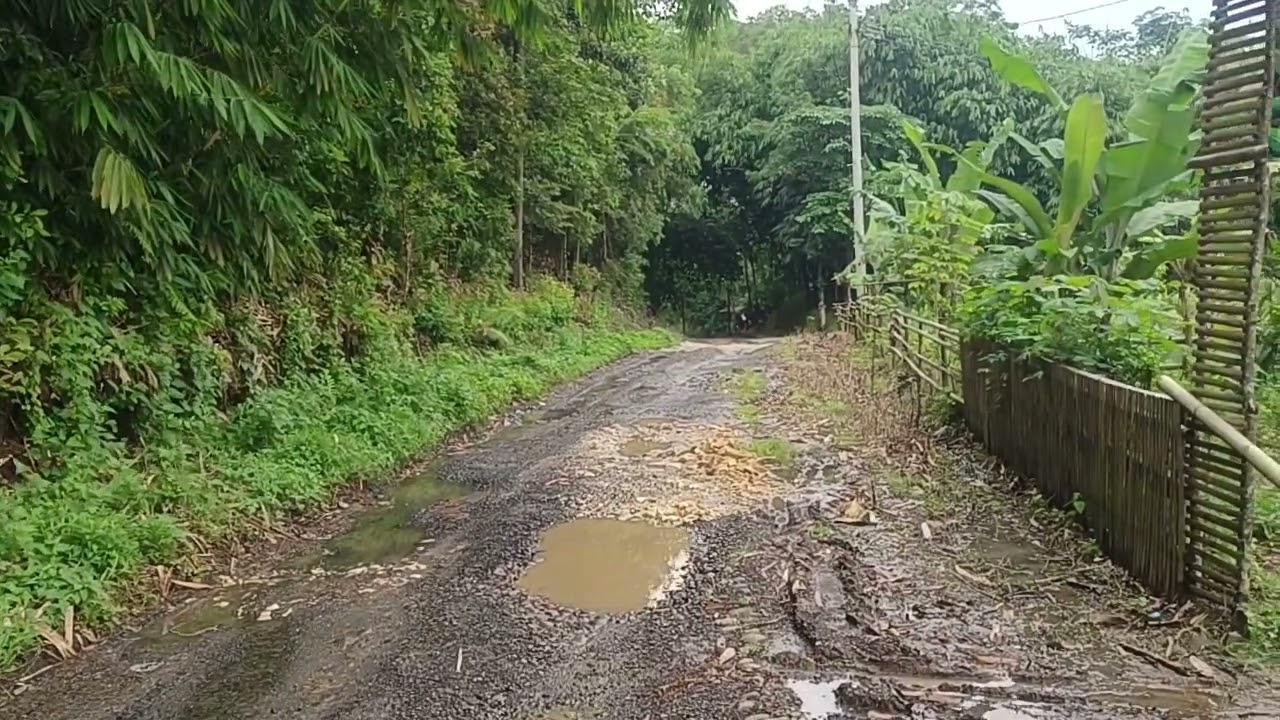 Tanah murah ada nya D bogor barat 