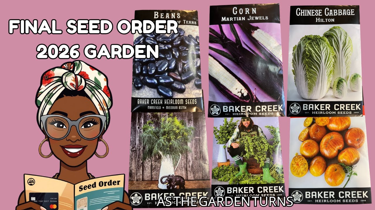 FINAL SEED ORDER FOR 2026 GARDEN! CHEROKEE TRAIL OF TEARS BEANS, ELEPHANT DILL & MORE!#gardening
