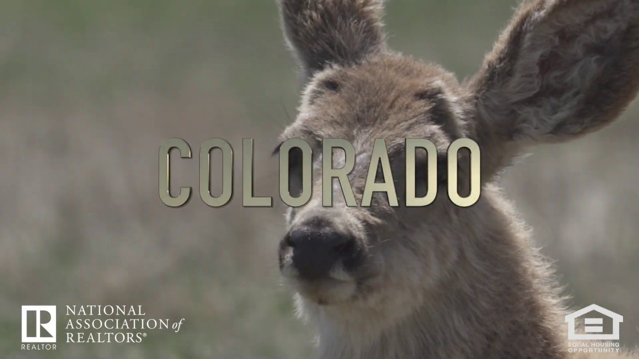 Denver Rental Helping You Find Your Next Home