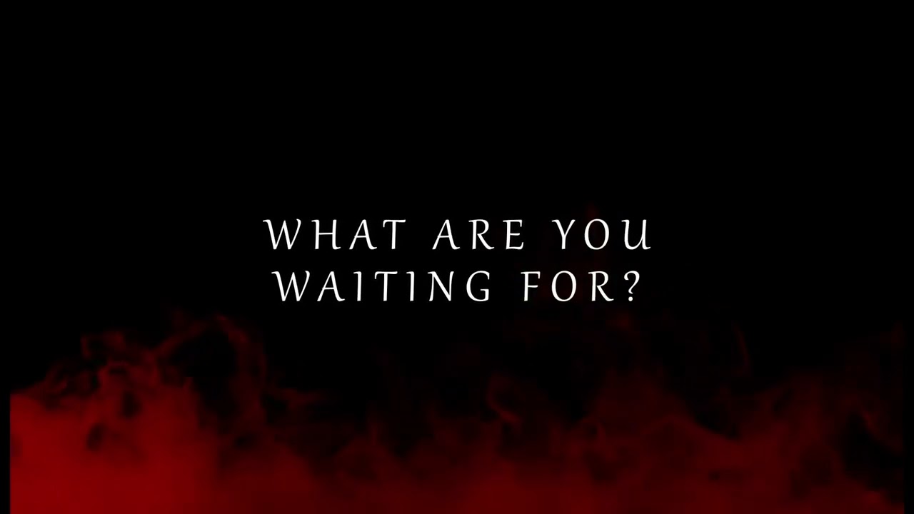 Chase Holfelder   Animal (Lyrics Video)