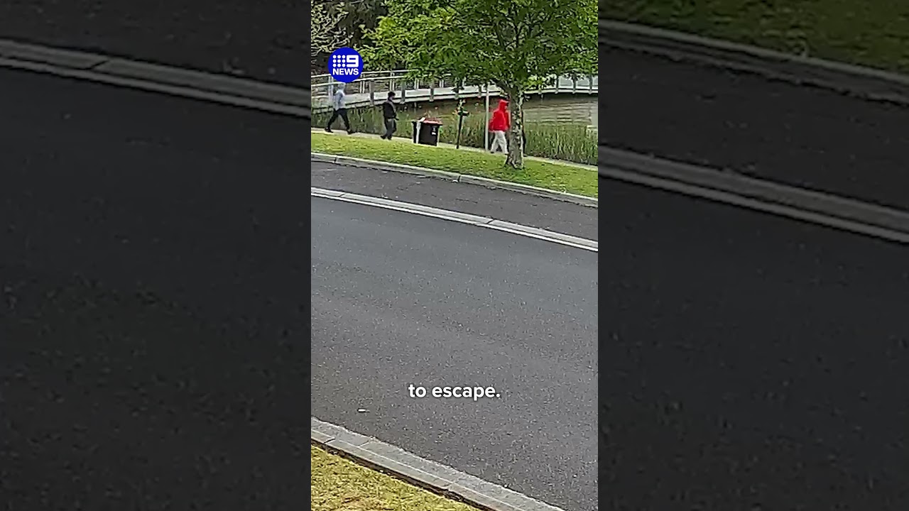 Teens ambushed by machete-wielding group | 9 News Australia