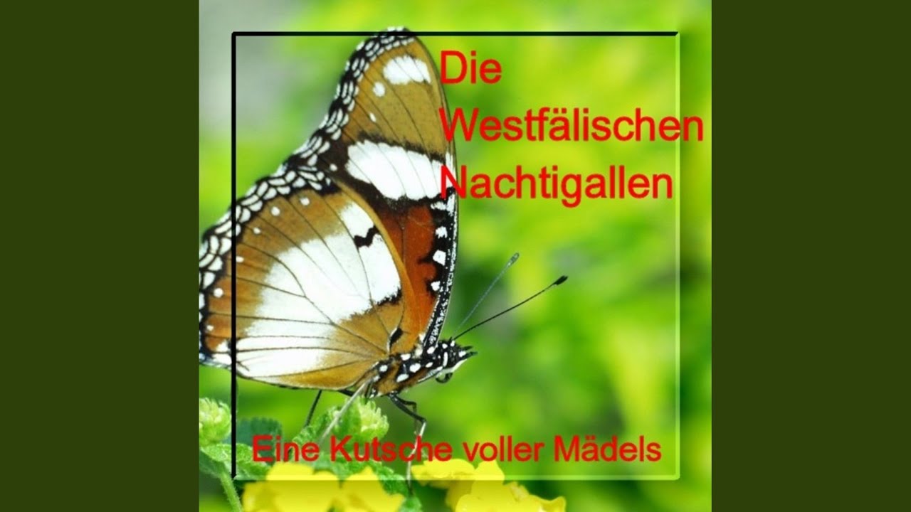 Amboß-Polka