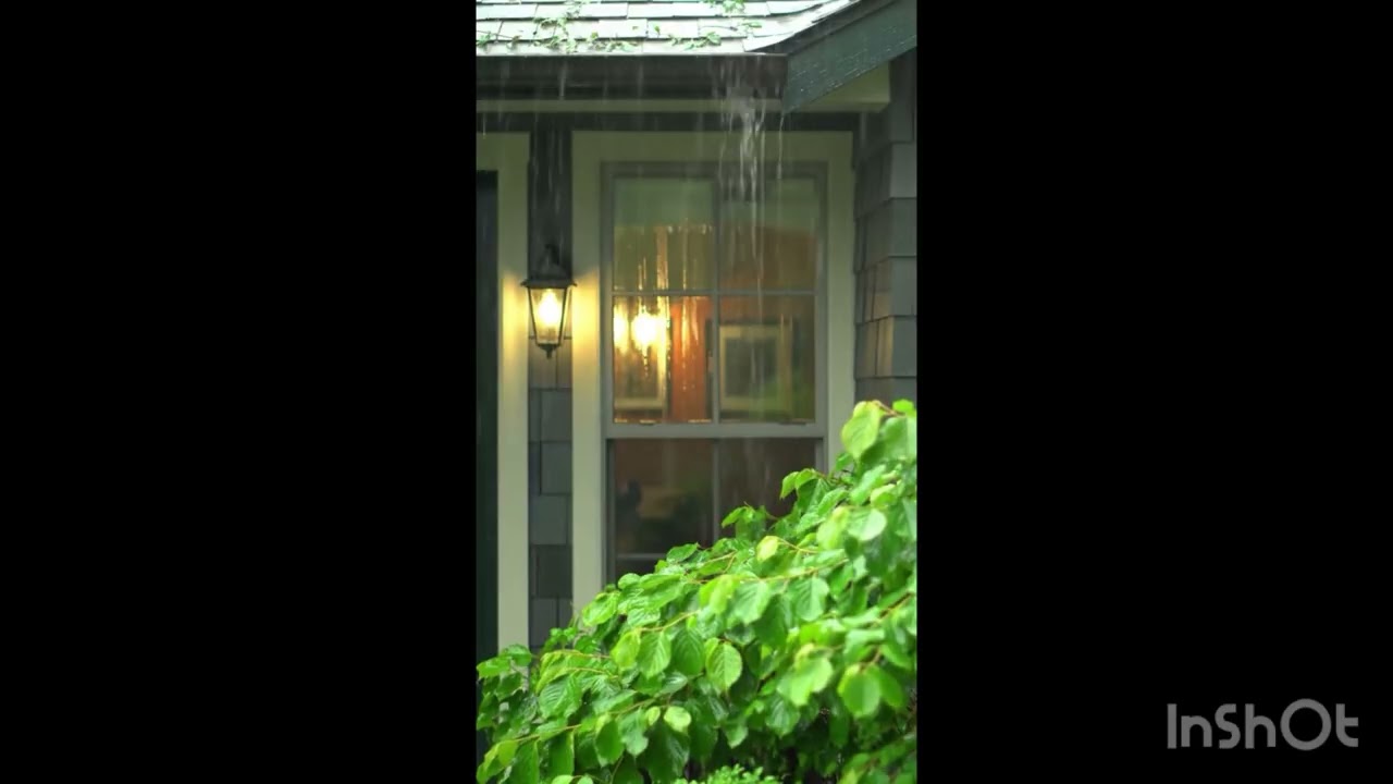 Gentle Rain sound | Rain Falling Down From The Roof top|Raining shower sounds |