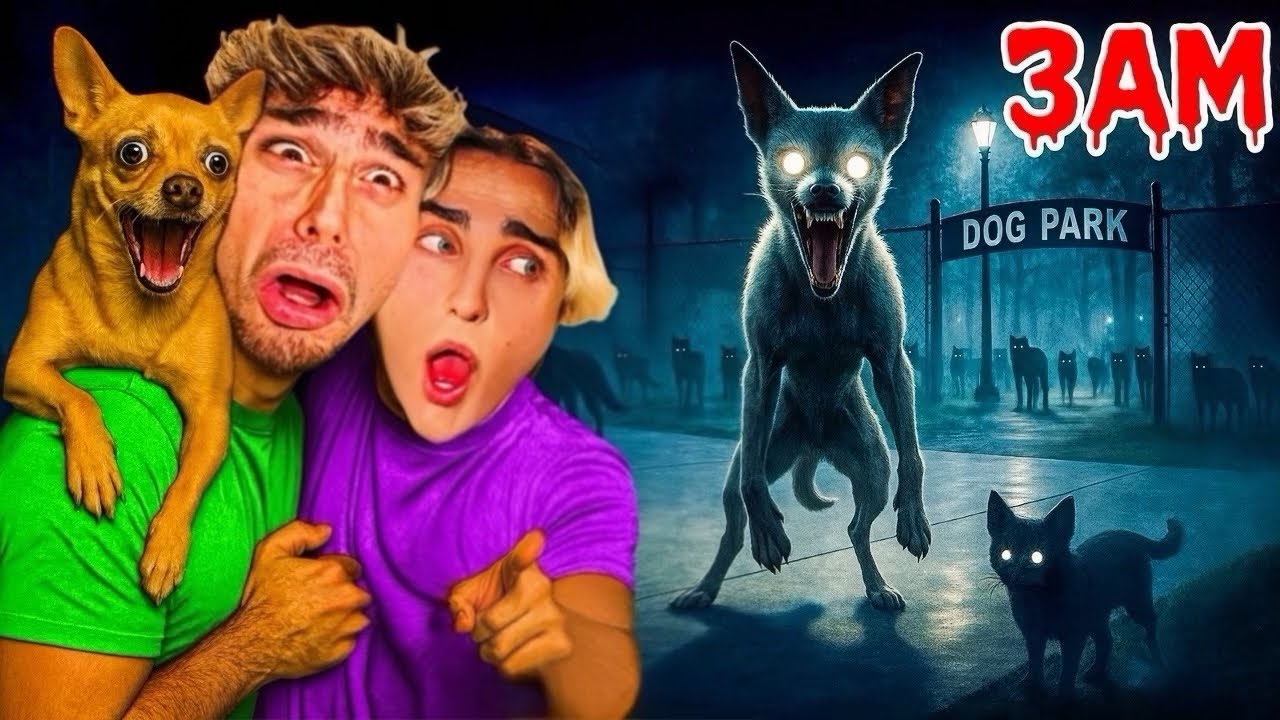 DO NOT GO TO THE DOG PARK AT 3AM…😰
