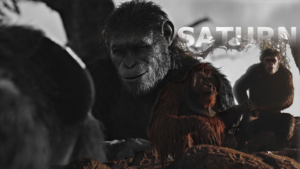 Caesar → ''the infinite'' |Planet of the Apes| MV