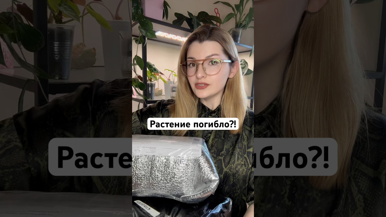 Тг/Мах Alicelisofficial #распаковкарастений #plants #алоказия #бегония