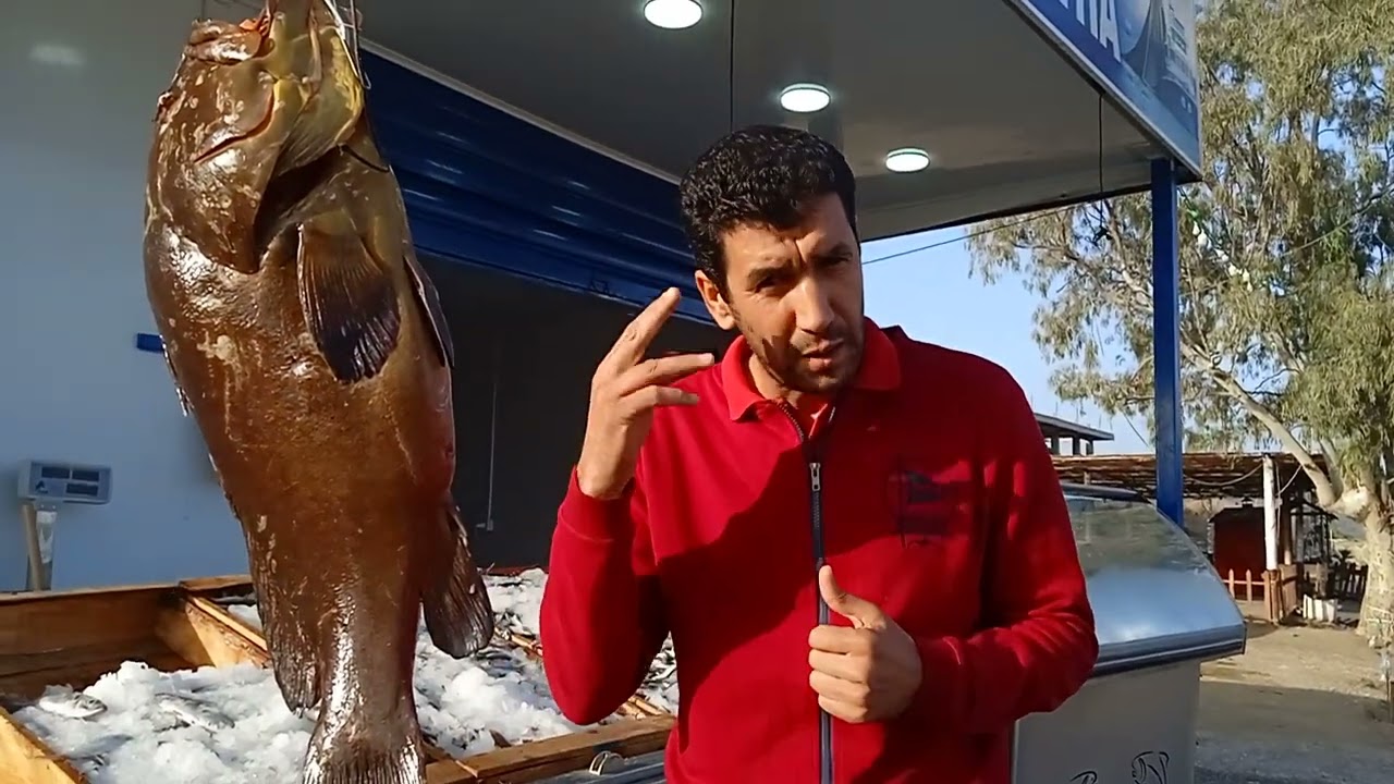 Le m&eacute;rou poisson de mer