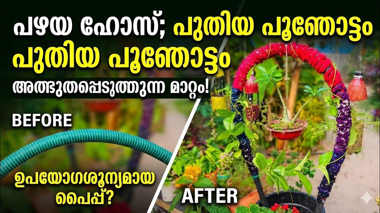 നിങ്ങളുടെ കൈയിൽ ഇങ്ങനൊരു പഴയ ഹോസ് ഉണ്ടോ?വെറും 10 മിനിറ്റ്! ഹോസ് കൊണ്ട് ഇങ്ങനൊരു സാധനം! 😍#garden 