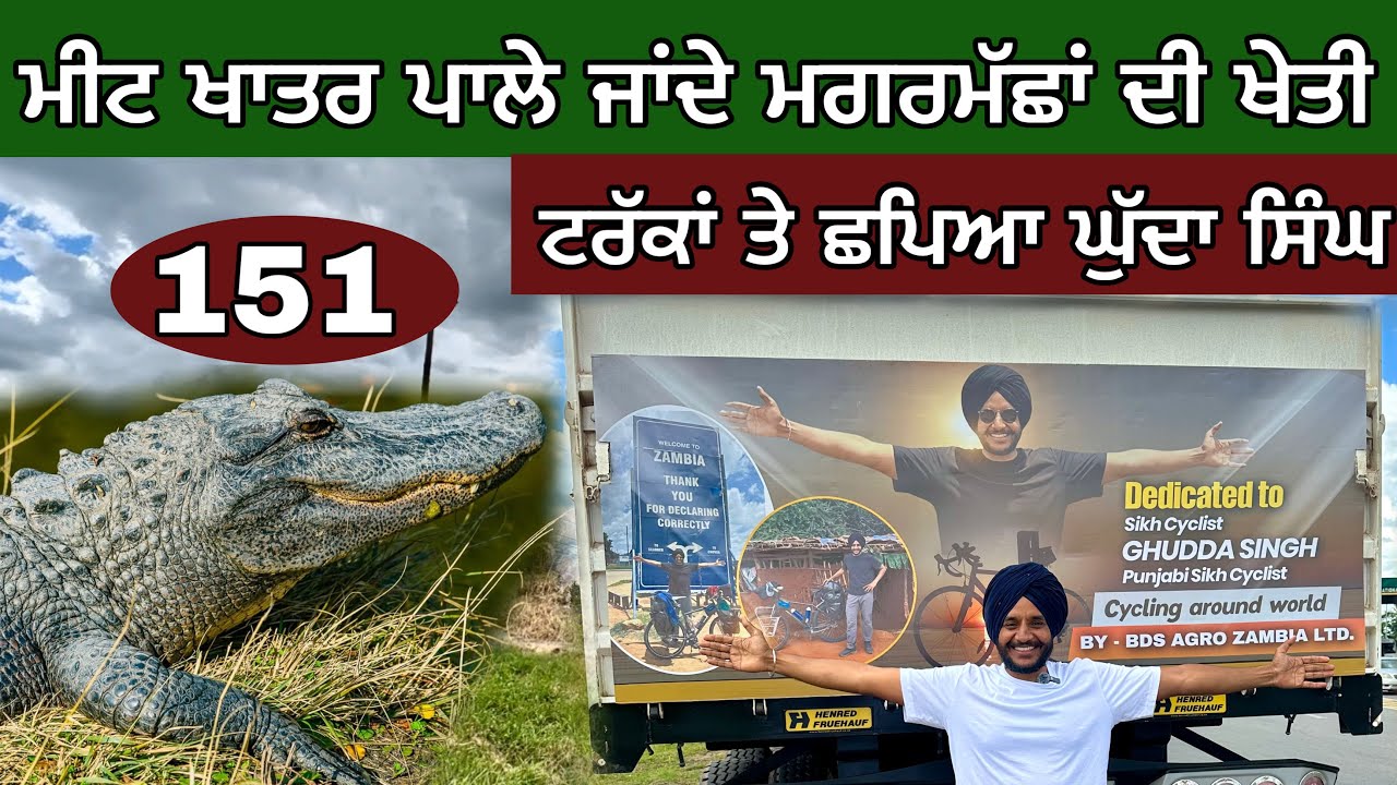 ਟਰੱਕਾਂ ਤੇ ਛਪਿਆ ਘੁੱਦਾ। ਮਗਰਮੱਛਾਂ ਦੀ ਖੇਤੀ। Crocodile Farming in Zambia