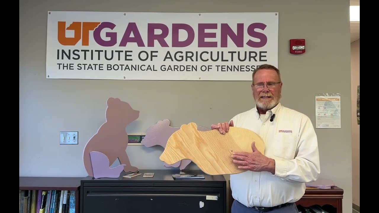 2026 Art in the Gardens introduction ￼