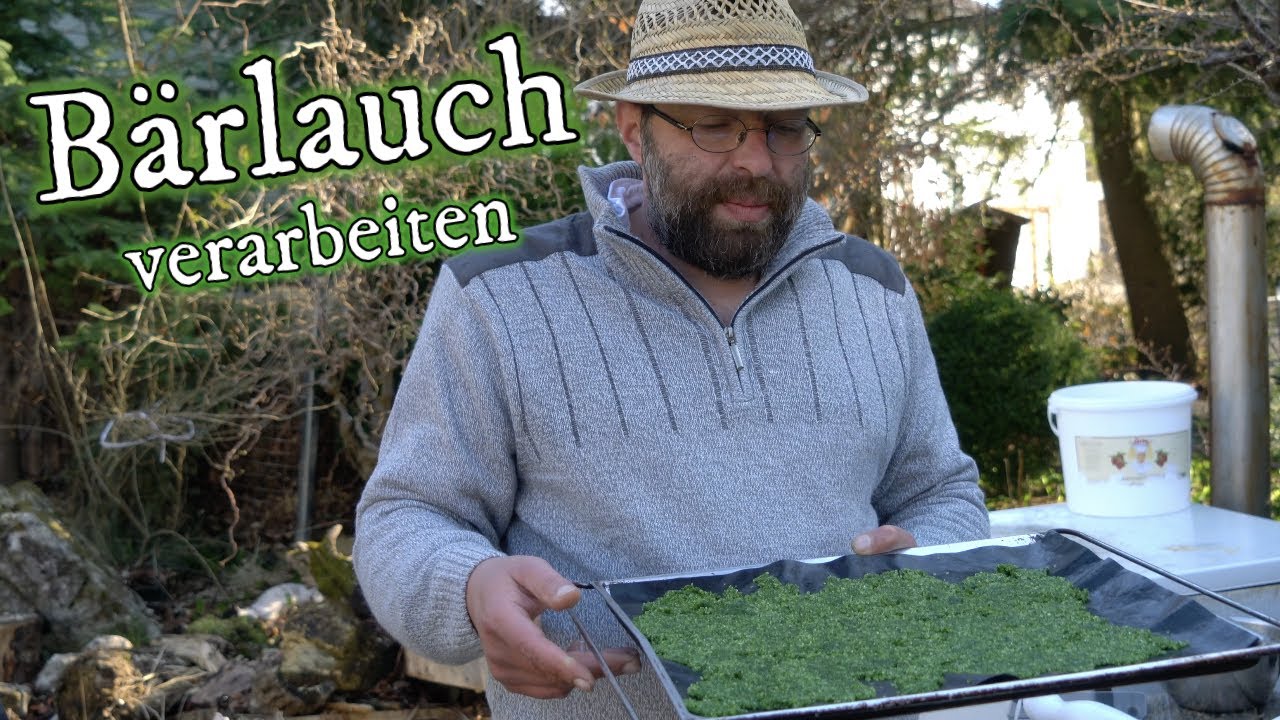 Bärlauch verarbeiten zu Bärlauchsalz - Bärlauchöl - Bärlauchtinktur