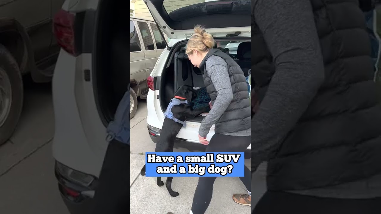 The Best Dog Carrier for the back of a Small SUV? The FLATED Air-Chalet.