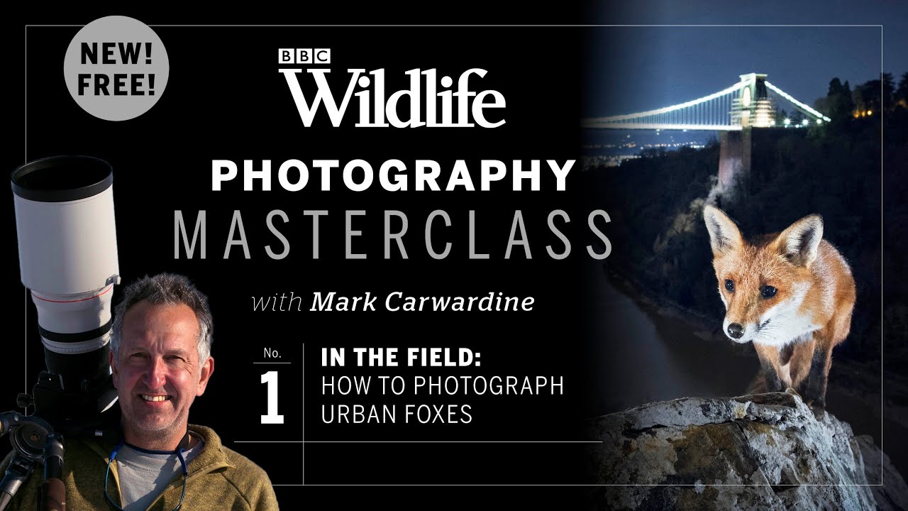 Episode One. In The Field: How To Photograph Urban Foxes | Photography Masterclass
