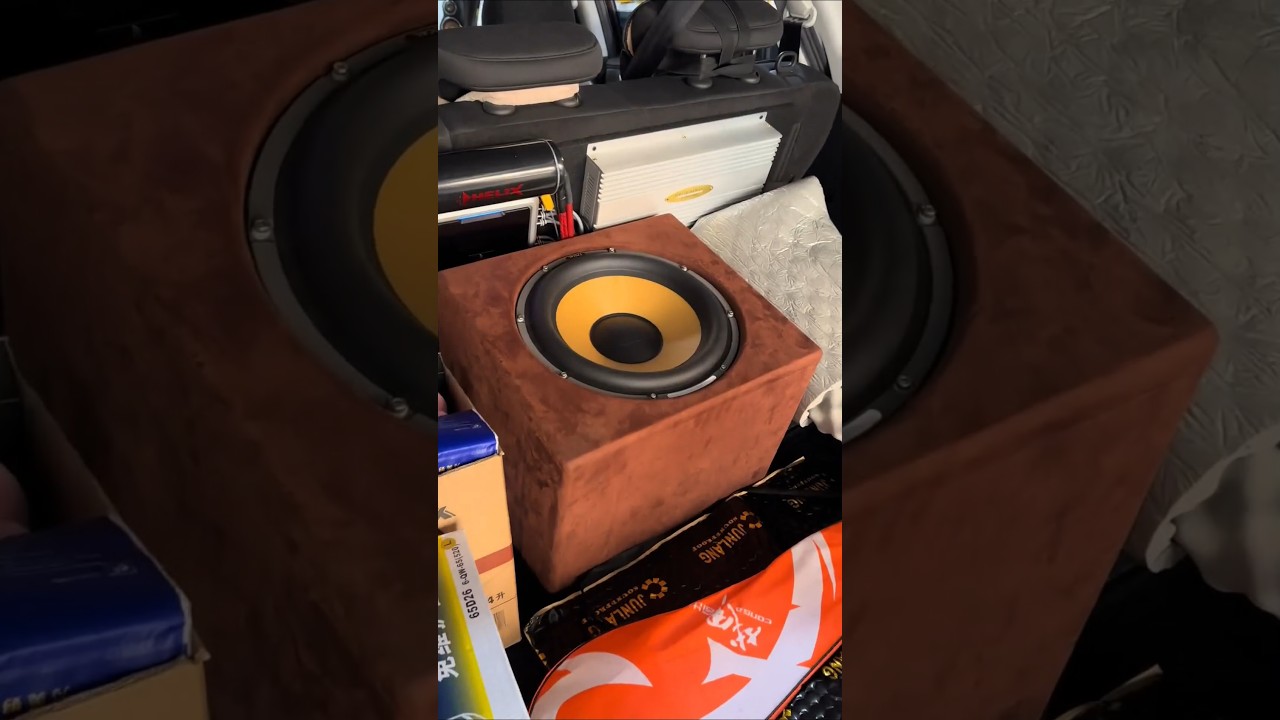 Niestandardowy subwoofer samochodowy, 10 cali