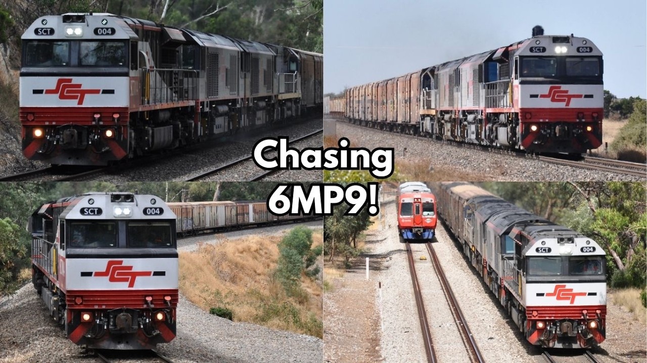 6MP9 | SCT004, CSR015, CSR018 & CF4430 | Hornshows!