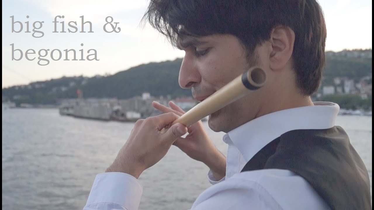 big fish & begonia theme (大鱼海棠) flute cover by Ameer Raid