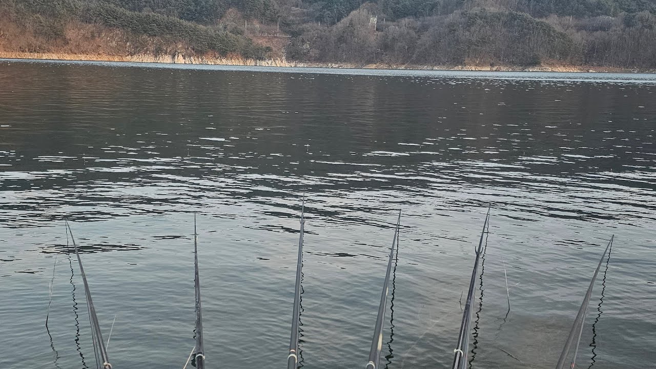 합천댐 낚시 라이브 스트리밍 중/ 깊은수심 겨울 붕어 낚시 #합천댐낚시 #낚시 #fishing