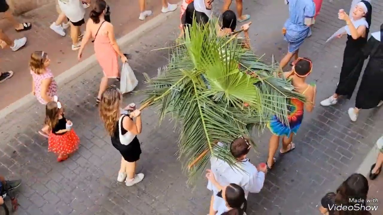 LA FESTA DEL DÍA DEL GOS.SIMAT DE LA VALLDIGNA .