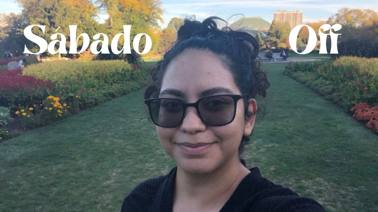 Uma tarde em Chicago