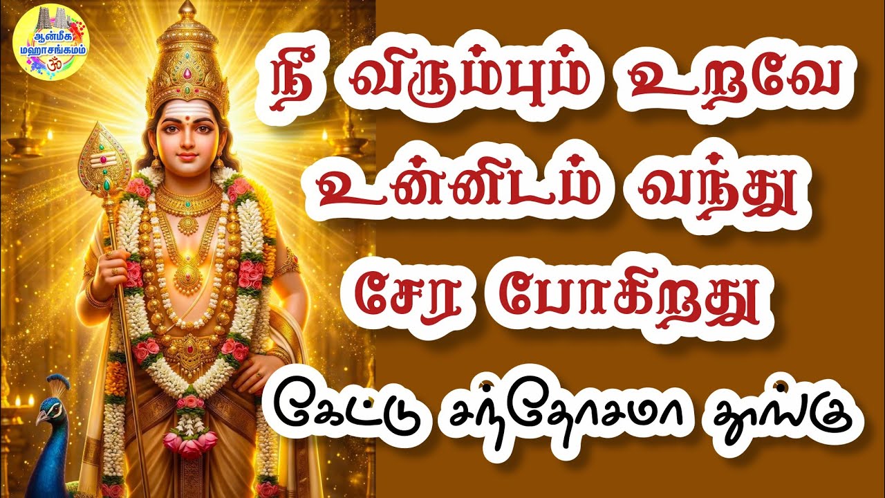 💥நீ விரும்பும் உறவே உன்னிடம் வந்து சேர போகிறது✨️கேட்டு சந்தோசமா தூங்கு💥Murugan Speech in Tamil 💥 Vel