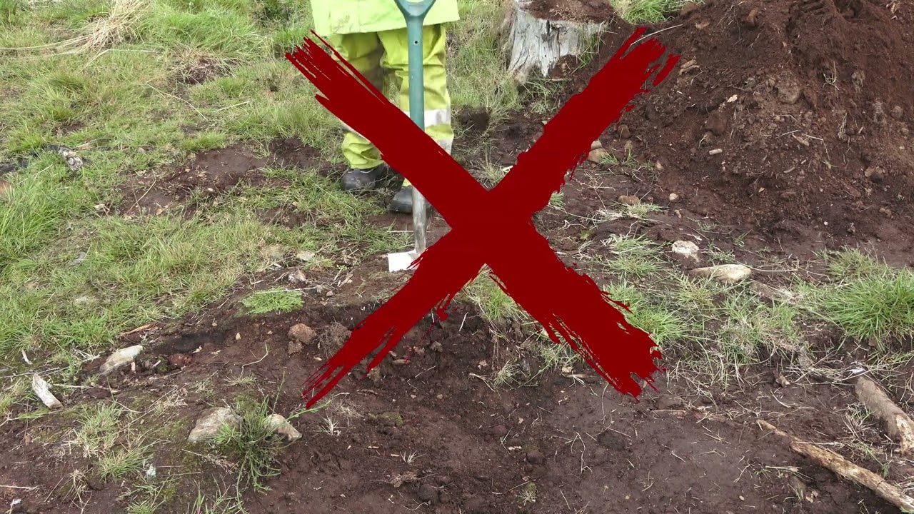 DOVTA Using a spade and shovel (Dutch)