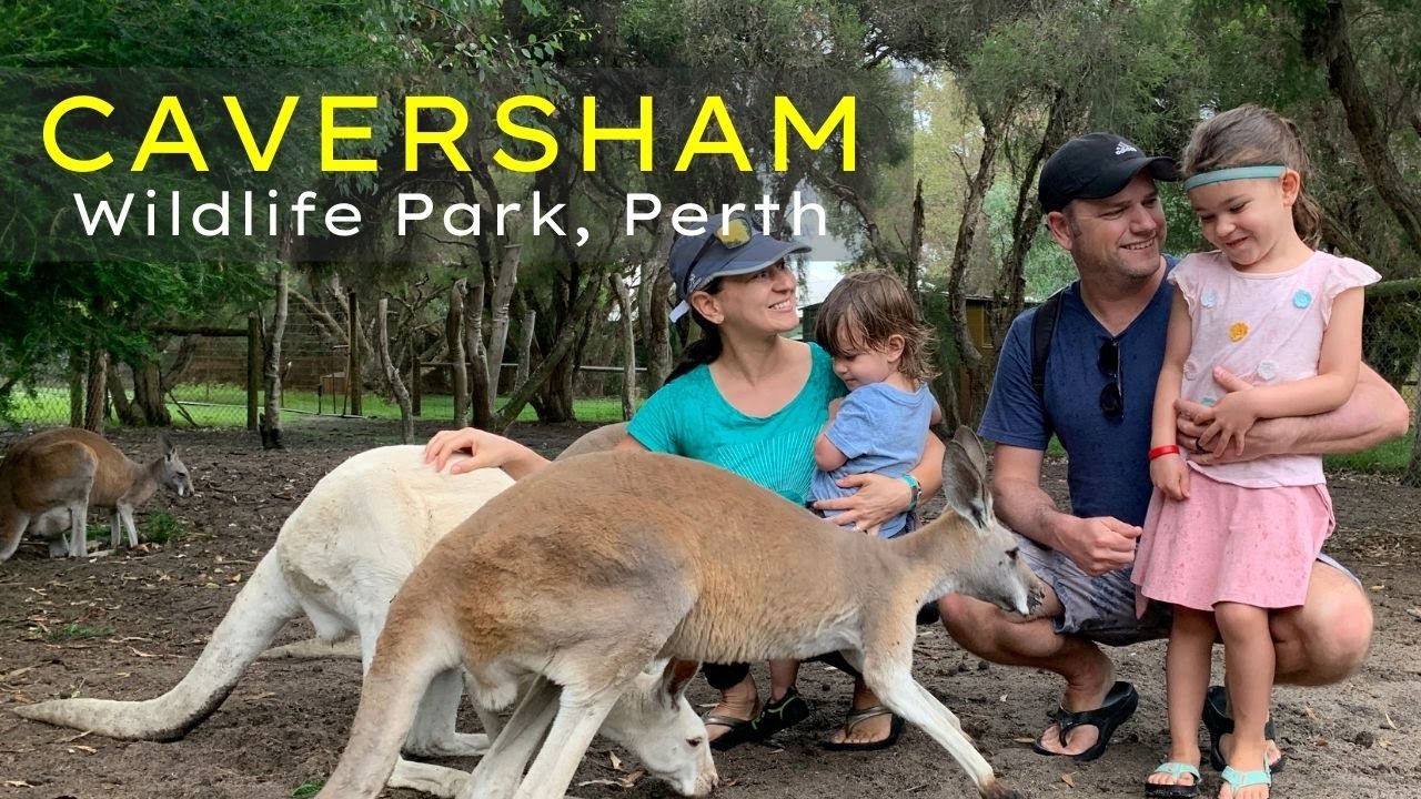 Caversham Wildlife Park, Perth.