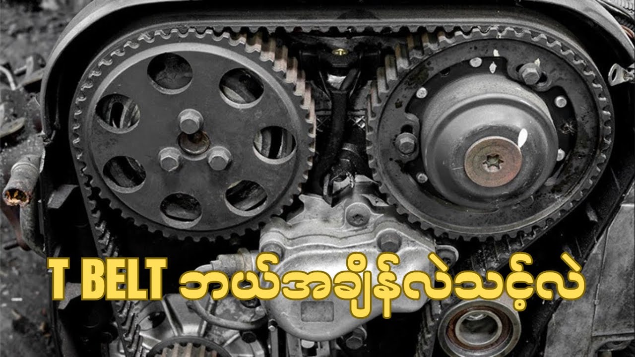တိုင်မင်ဘတ်ကြိုး (T-Belt) ကို ဘယ်အချိန် လဲပေးသင့်လဲ