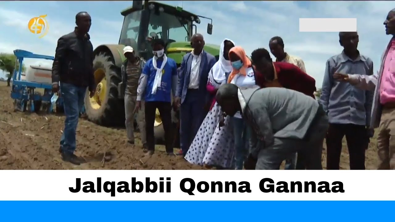 Jalqabbii Qonna Gannaa