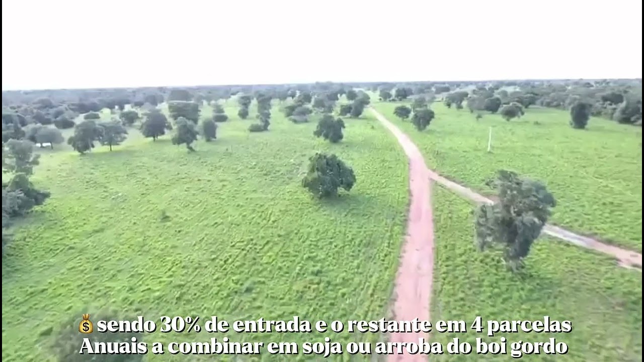 FAZENDA À VENDA NO MATO GROSSO | 3.098 HECTARES | ÁREA PRONTA PARA SOJA E PECUÁRIA