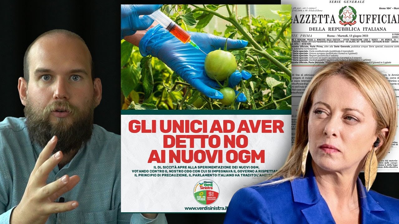 Il Governo ha Approvato gli OGM nel silenzio generale?
