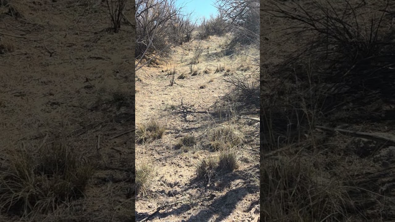 Data Centers, Contaminated Water, and the Impact on Hunters and Our Food Supply