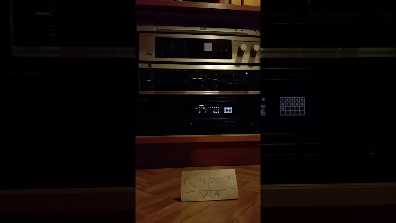Pioneer SR-60 reverberation amplifier