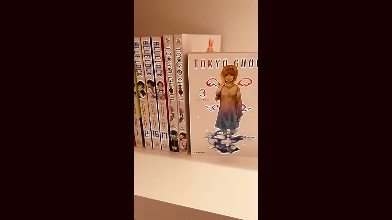 Manga shelving