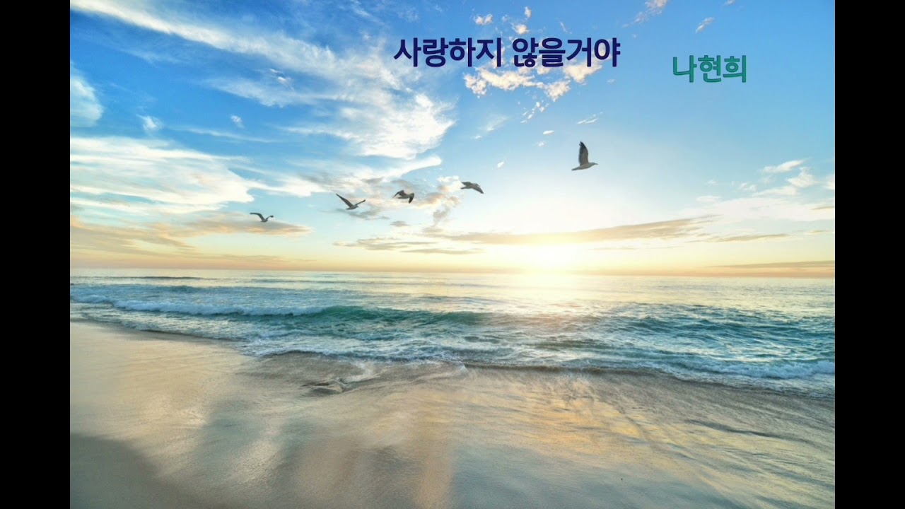 사랑하지 않을거야...나현희..연속2번듣기