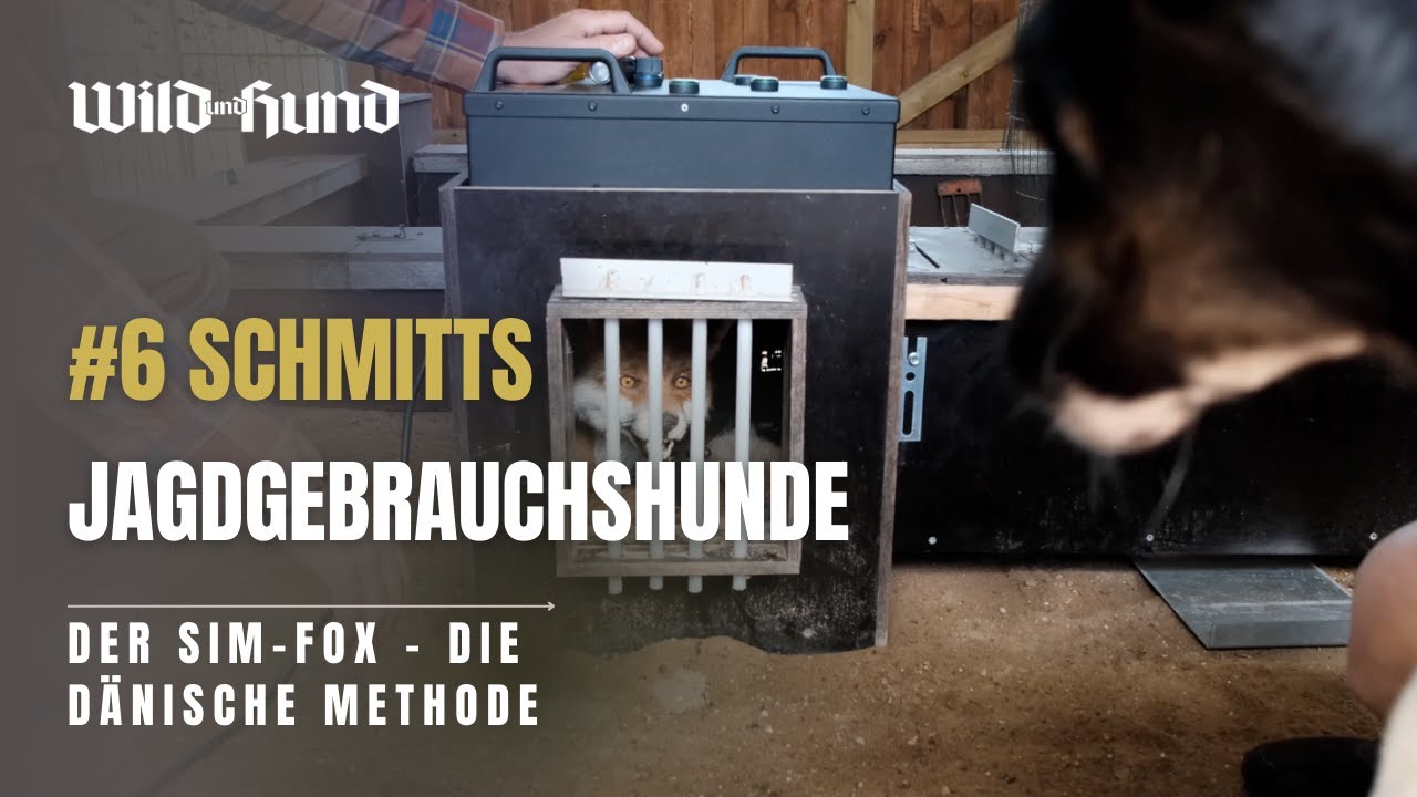 Schmitts Jagdgebrauchshunde - Der SIM-Fox: Die dänische Methode