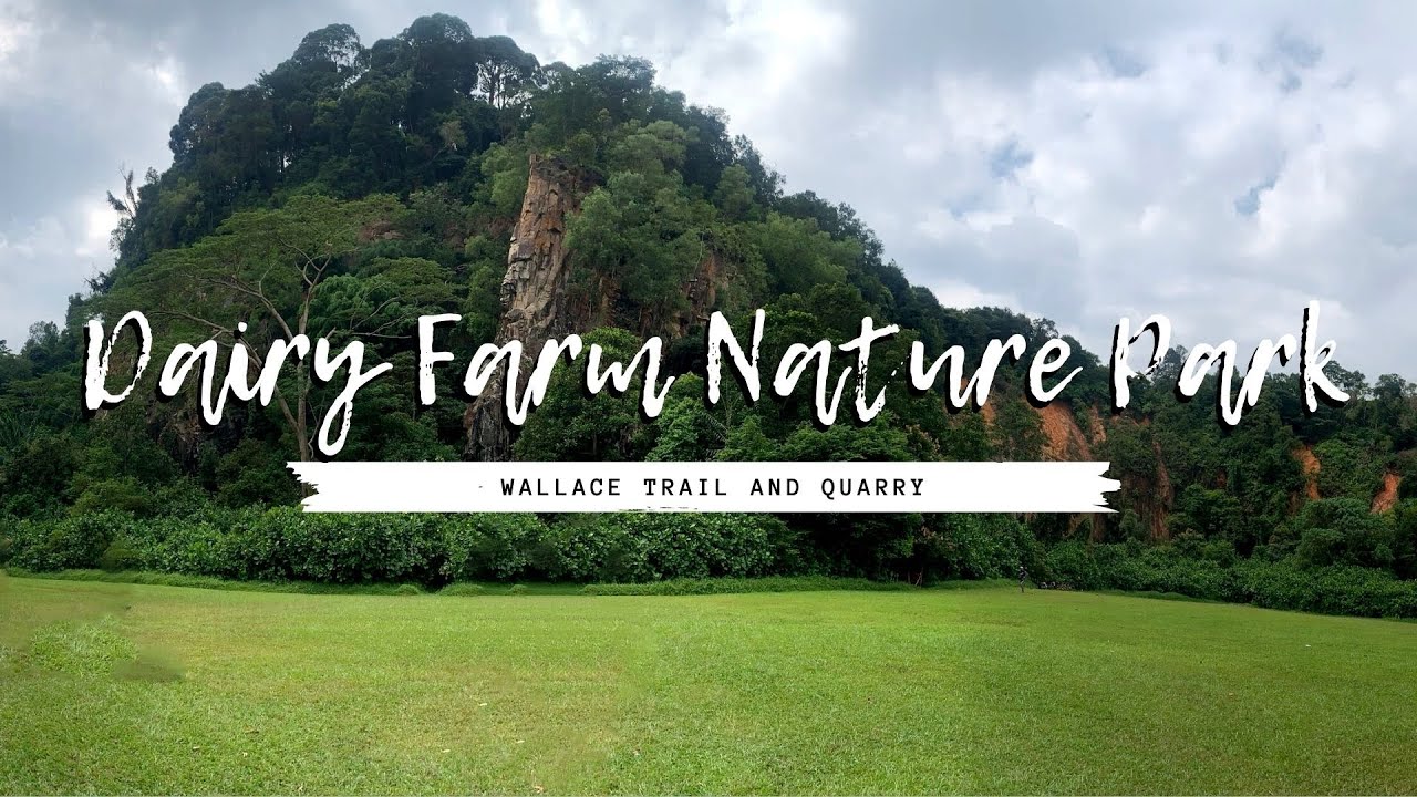 Exploring Dairy Farm Nature Park, Singapore | WalterNei
