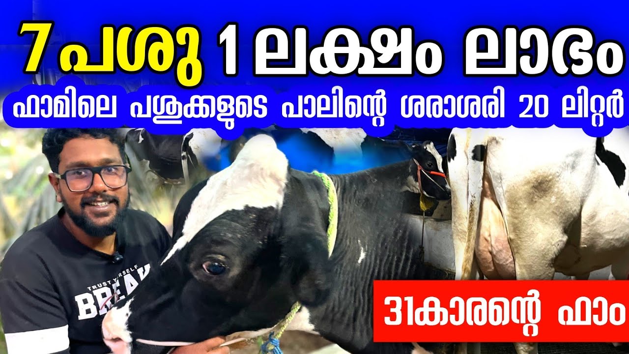 7 പശു, മാസം 1ലക്ഷം രൂപ ലാഭം! 31 കാരന്റെ പശു farm ലാഭത്തിൽ 