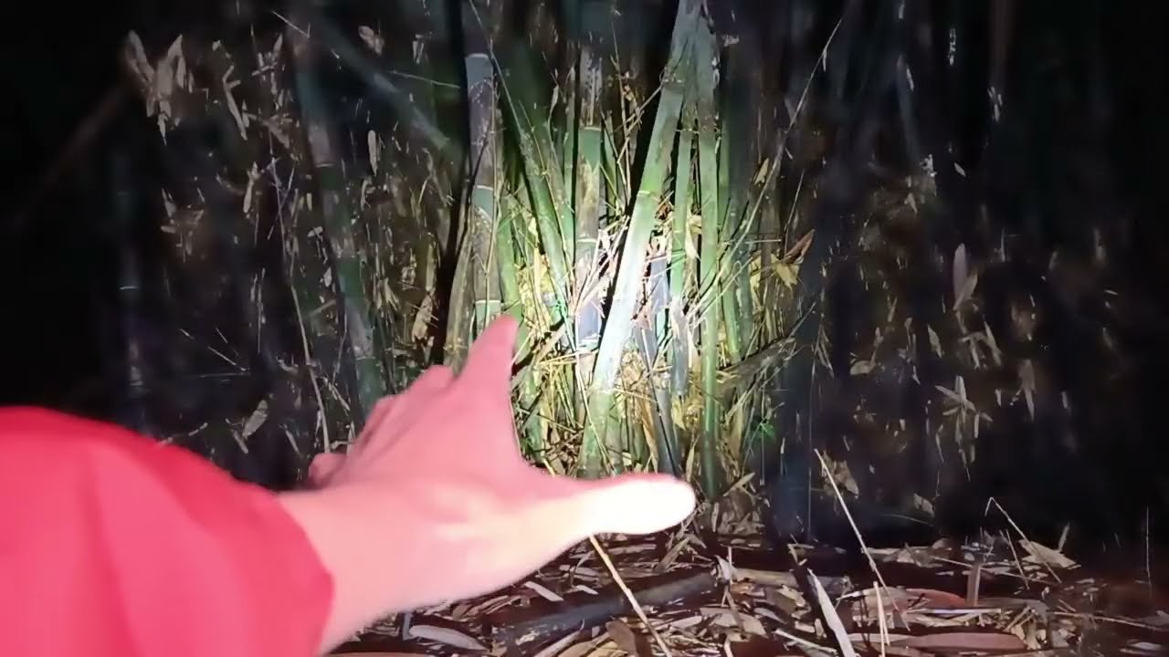 NEKAT MASUK PERKAMPUNGAN KUNTILANAK