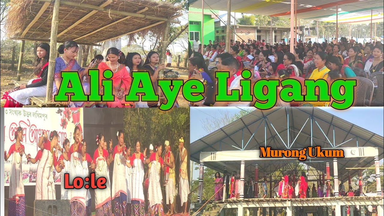 Ali Aye Ligang || মিচিং জনগোষ্ঠীৰ কৃষিভিত্তিক উৎসৱ || Central Ali Aye Ligang North Lakhimpur || 