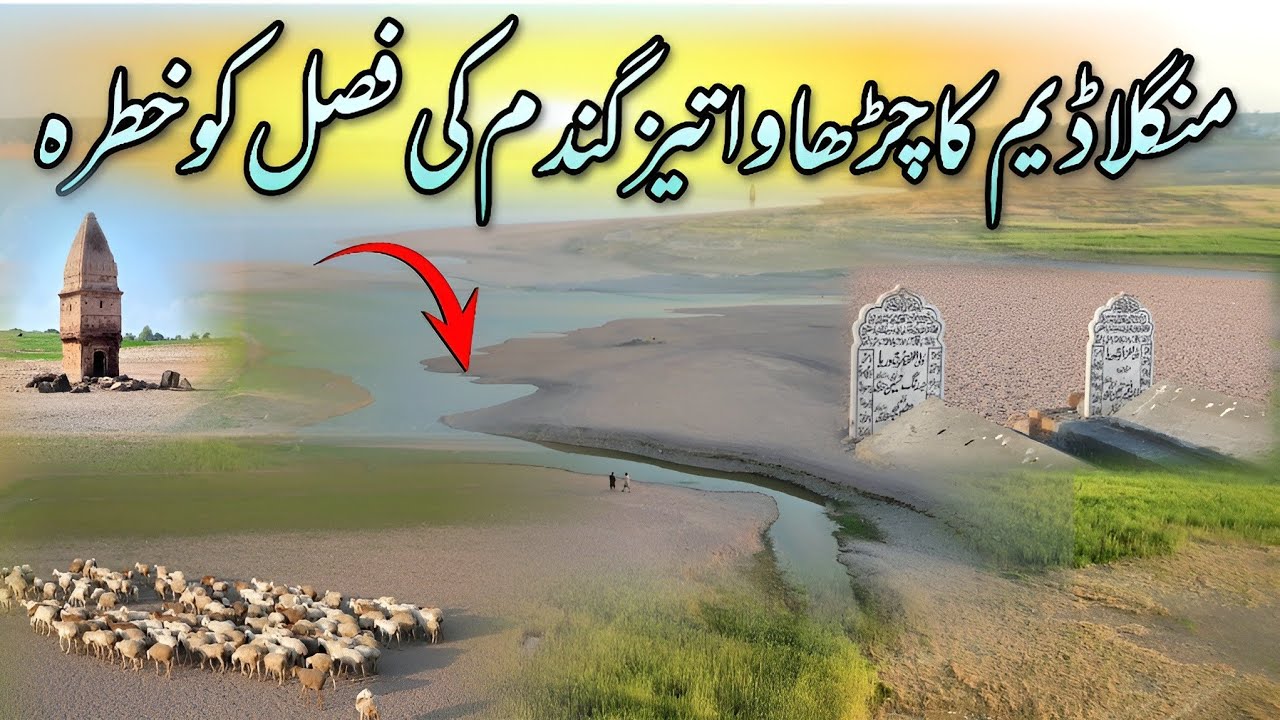 Mangla Dam Tezi Si Chadhna Start Ho Gaya | Gandam Ki Fasal Ko Khatra | Hammad Official