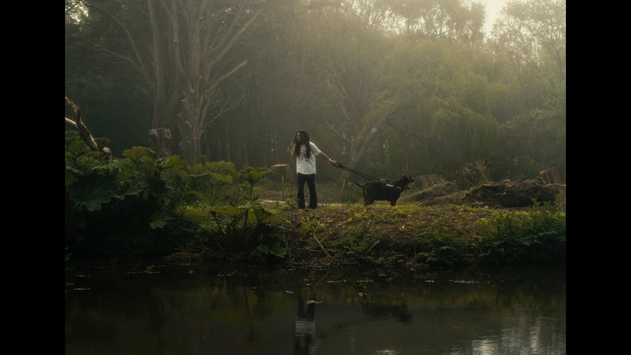 Jordan Nash - Butterflies