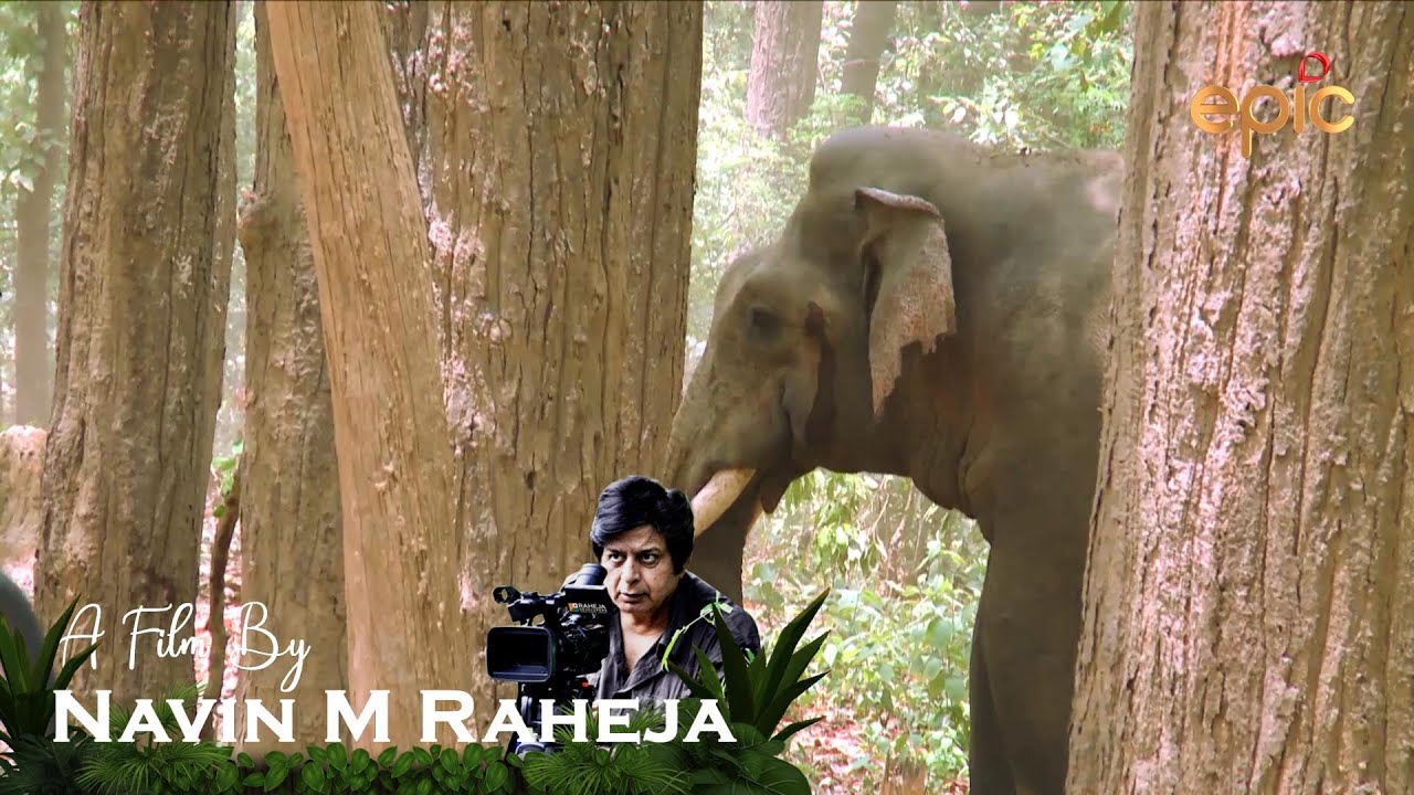 CATCHING THE KILLER ELEPHANT - WILDERNESS DAYS