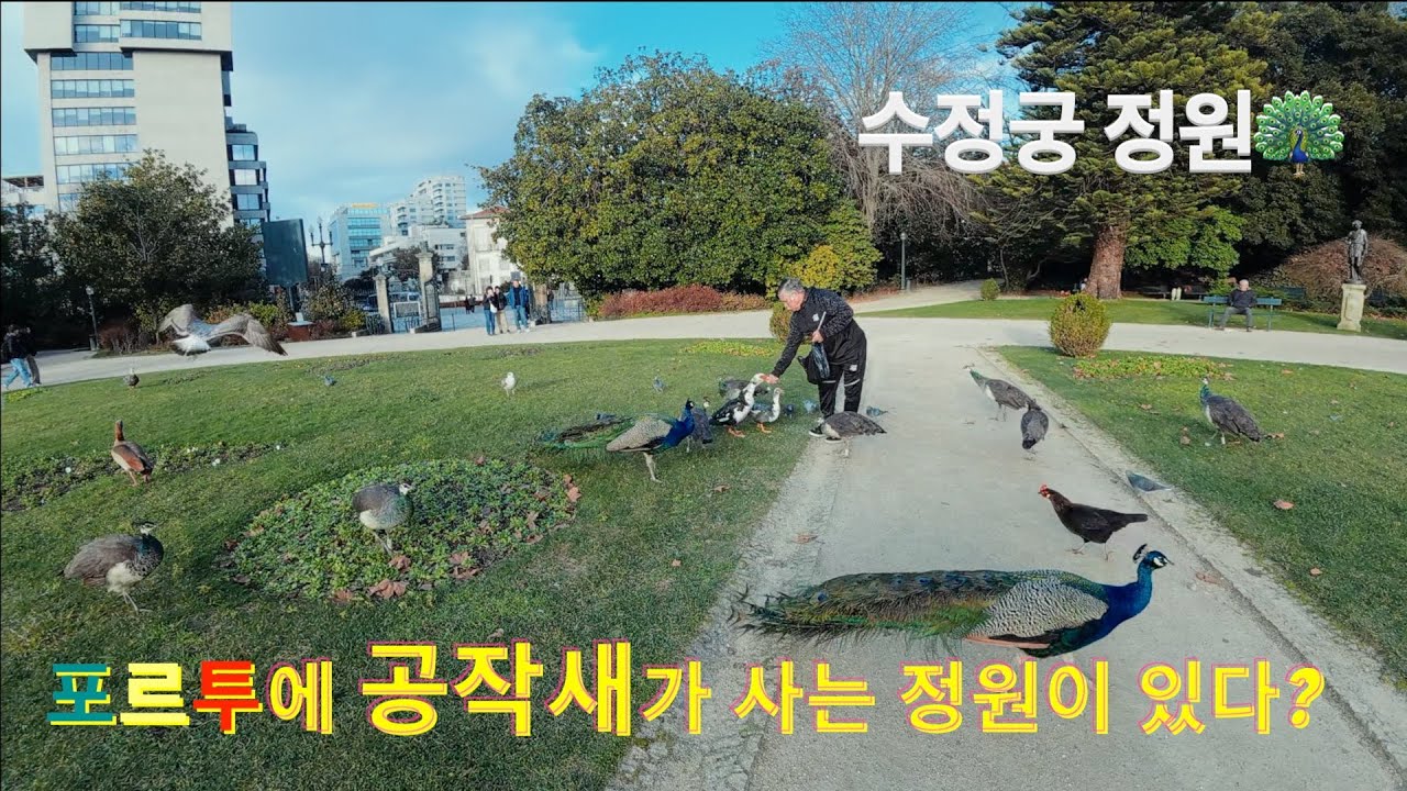 포르투 10일차, 도시 전체가 내려다보이는 수정궁 정원의 마법 🇵🇹
