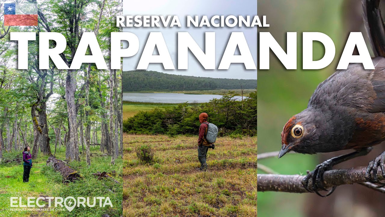 Bosques y Lagos Escondidos | Reserva Trapananda | Reservas Nacionales de Chile 7/45
