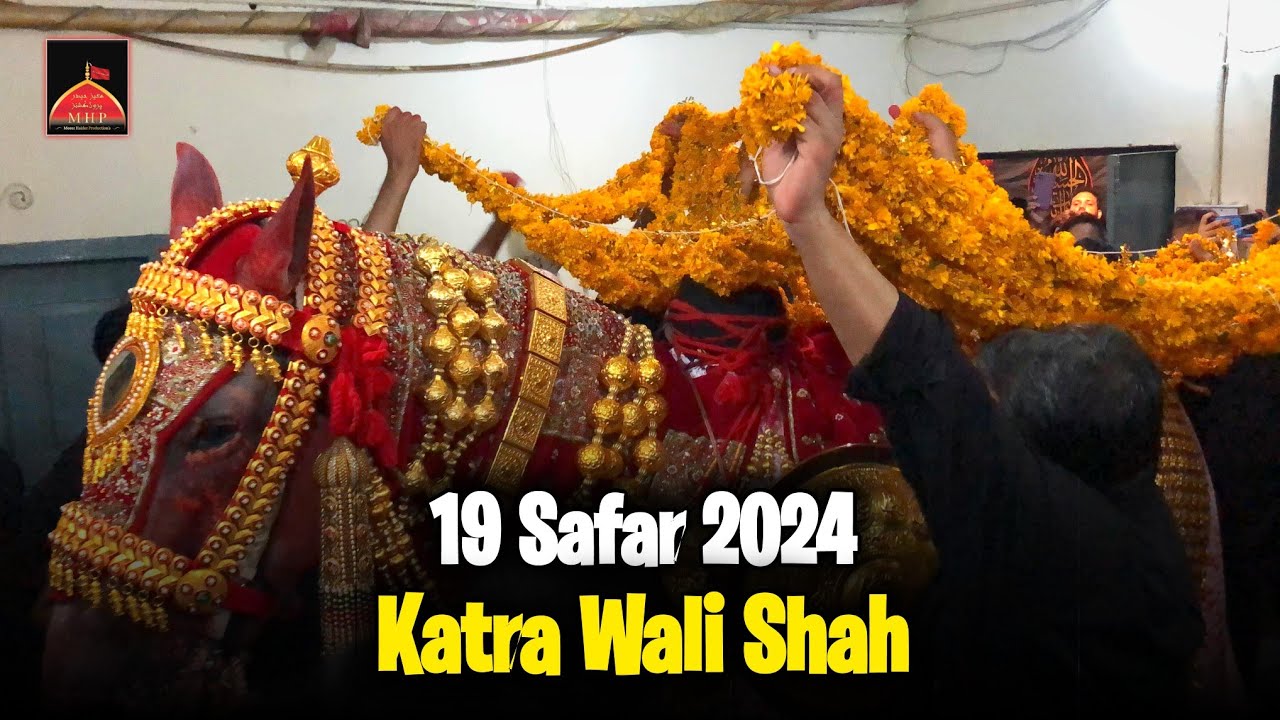 19 Safar Katra Wali Shah 2024 | Tyari Shabih Zuljana | Baramdagi