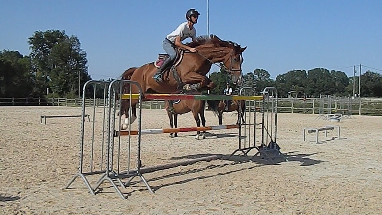 Fête du club - Puissance obstacle jusqu'à 1m50